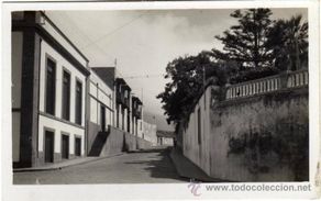 Postales: BONITA POSTAL - PUERTO DE LA CRUZ (TENERIFE) - SANTO DOMINGO